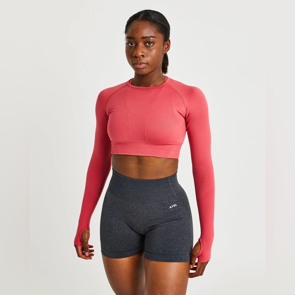 AYBL seamless V2 long sleeve crop top NWT size small dusty rose